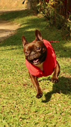 colete borys - loja online