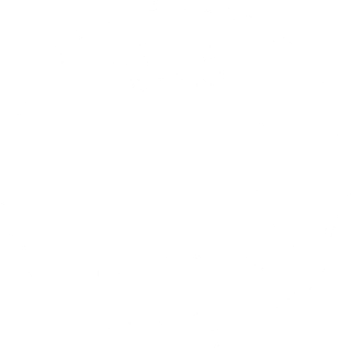 TLN SPORTS