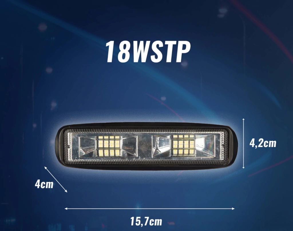 18WSTP