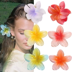 Presilha de cabelo Flor na internet