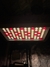 Led Greensindoor 2000W - loja online
