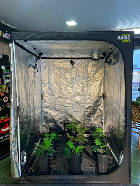 Estufa Garden 150x150x200 HighPro Probox Basic