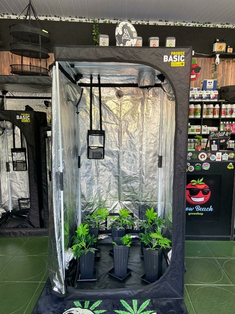 Estufa Garden 100x100x200 HighPro Probox Basic