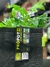 Vaso Propot 20 Litros Feltro - comprar online