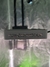 Led Greensindoor 2000W - comprar online