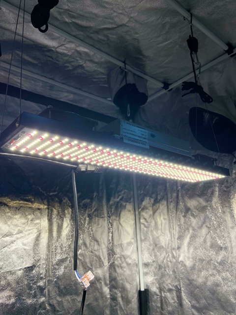 Led Samsung QB LM301H 240W c/ Dimmer