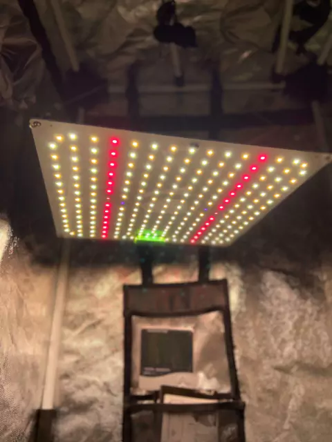 Led Samsung QB 281B85W Veg./Bloom