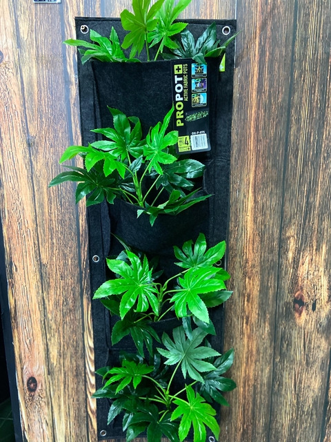 Vaso Propot Wall 4 Feltro