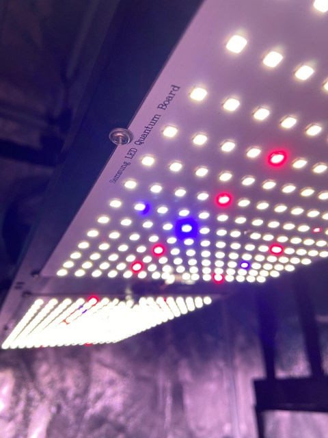 Led Samsung QB LM301H 240W UV+IR