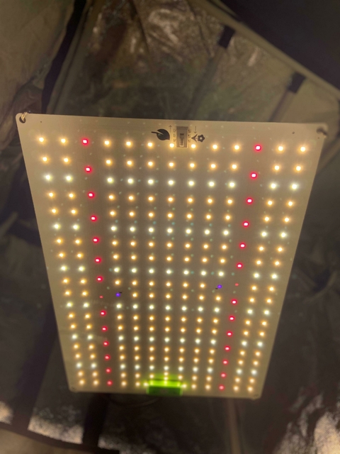 Led Samsung QB 281B 100W c/ Veg. Flora