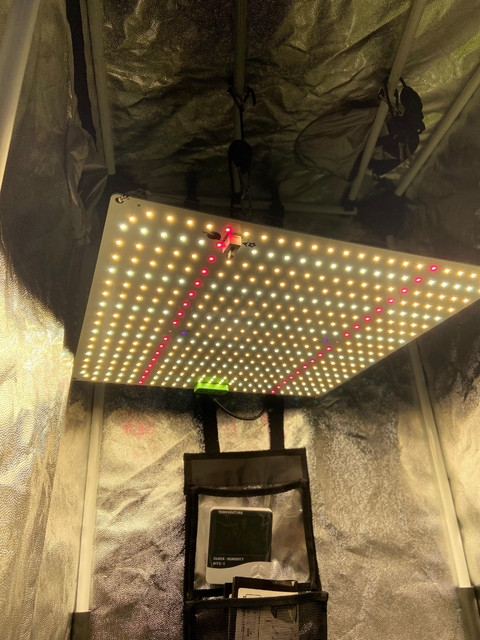 Led Samsung QB Lm281b 150W c/ Veg. Flora