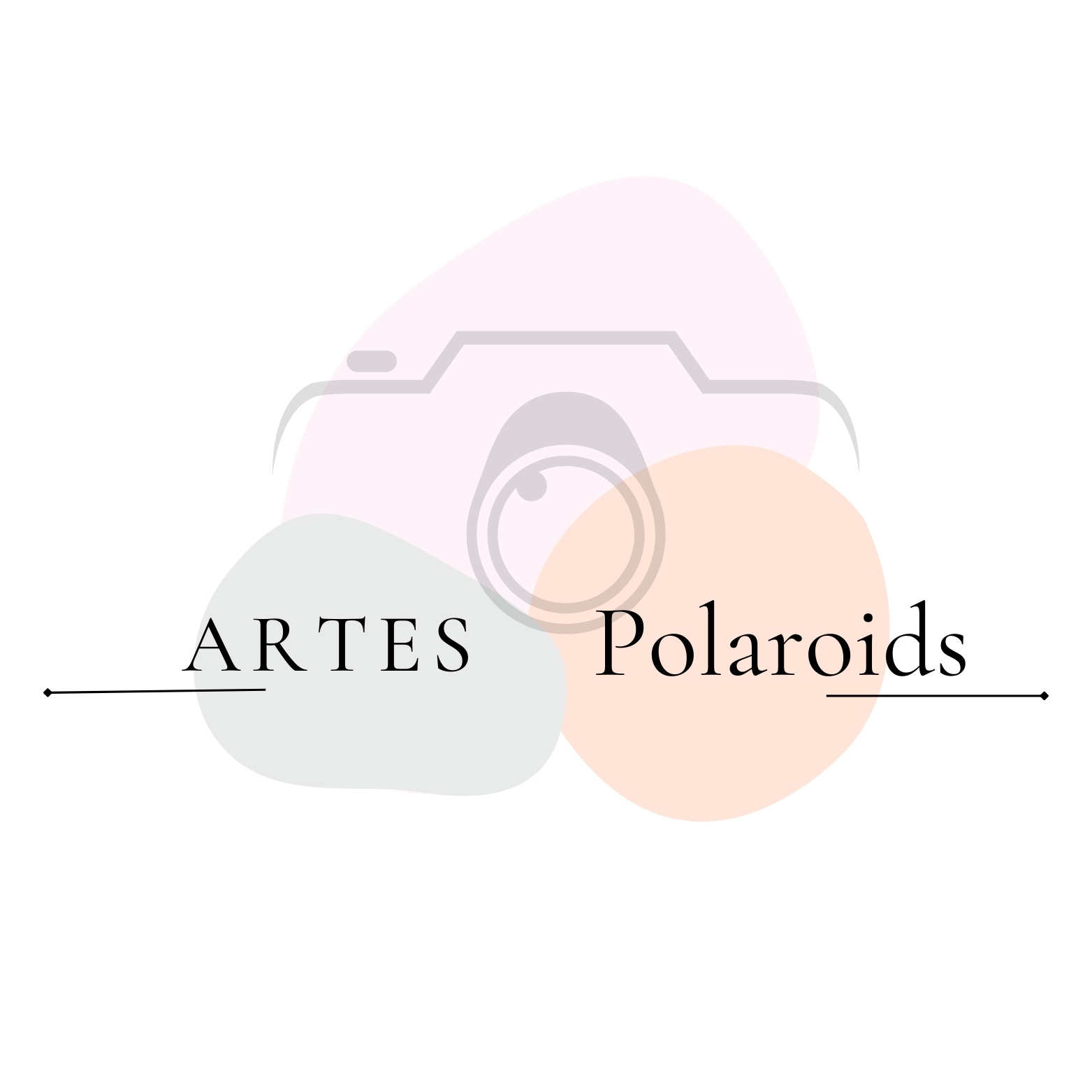 Artes Polaroids