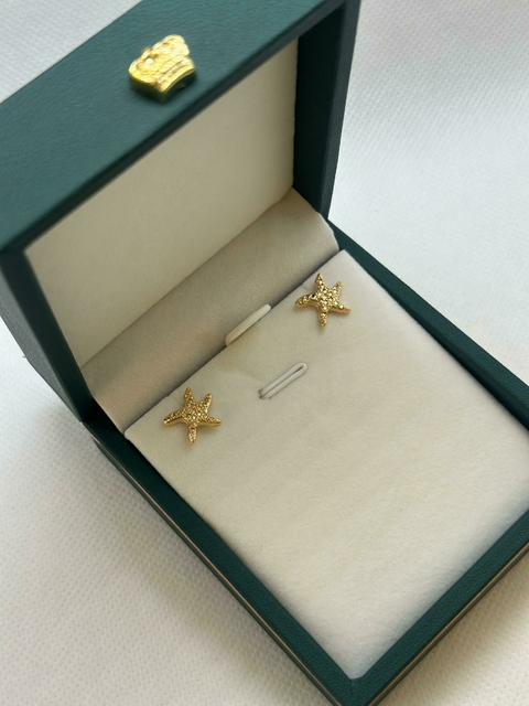 Brinco estrela do mar