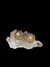 Brinco Ouro, Pérolas e Diamantes - comprar online
