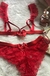 Conjunto Gabriela