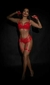 Conjunto Algema Sexy Afrodite - loja online