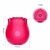 vibrador ROSA ESTIMULADORA DE CLITÓRIS COM PULSAÇÃO DELIA 10 VELOCIDADES - PAIXÃO&PRAZER