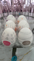 Egg Twister Masturbador Masculino Magical Kiss - comprar online