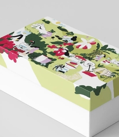 Banner de la categoría BOX 