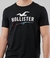 Hollister