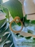 Aros Kioto - Aysha jewels
