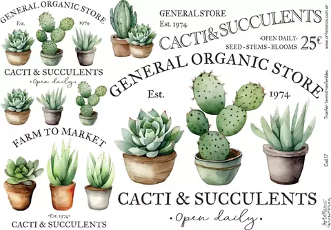 TRANSFER TERMOTRANSFERIBLE 17 - comprar online