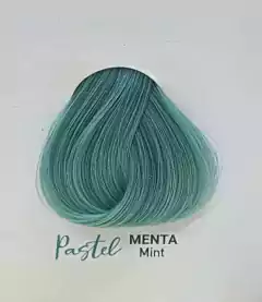 Tinte RBL Menta 90g