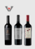 Absoluto Malbec sin Madera - comprar online