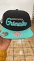 MITCHELL AND NESS GRIZZLIES