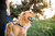 Planet Ball - Petstages - comprar online