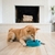 Fun Feeder - OutwardHound - comprar online