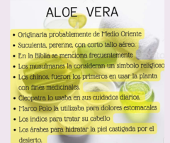 Aloe Vera + Vitamina C - comprar online