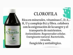 Clorofila + Vitamina C en internet