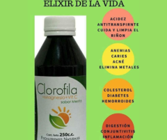 Clorofila + Vitamina C - Vida Naturalmente Sana