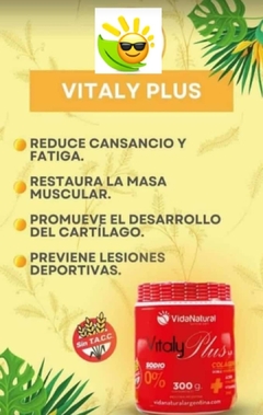 Vitaly Plus D - comprar online