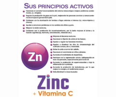 Zinc + Vitamina C. 60comp - comprar online