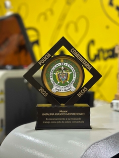 Banner de la categoría Reconocimientos y Medallas Militares