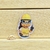 Pin Capibara Salud Ocupacional - comprar online