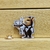 Pin Capibara Mesero - comprar online