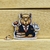 Pin Capibara Abogado 3 - comprar online