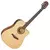 VIOLAO HOFMA FOLK HMF-290 STNT