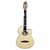 VIOLÃO GIANNINI NYLON NT SATIN GNF-3 CEQ NS