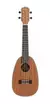 UKULELE KALANI CONCERTO 24 KAYKE SERIES MOGNO CORPO ABACAXI KAL 330 CP (COM BAG) - comprar online
