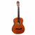 VIOLÃO GIANNINI S14 AÇO NT