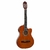 VIOLAO GIANNINI START SF-14 NATURAL AÇO