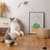 Brinquedo para gato pássaro interativo - loja online