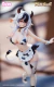 Figura | Milk Girls [Black & White] - FANCAM 1/6 en internet