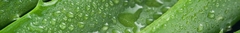 Banner for category Aloe Vera Fabrics