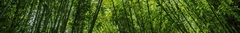Banner for category Bamboo Fabrics