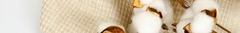 Banner for category Organic Cotton